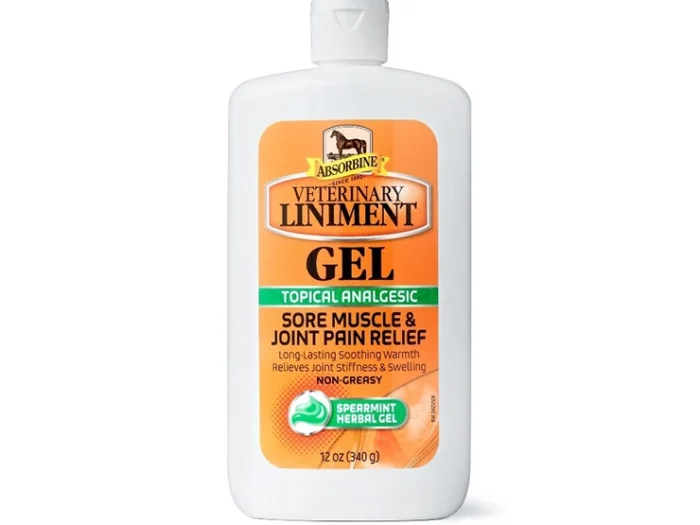 LINIMENTO GEL ABSORBINE