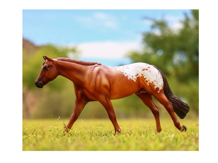 CABALLO BREYER CHOCOLATEY