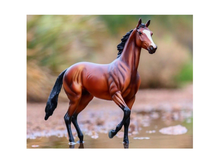 CABALLO BREYER TIZ
