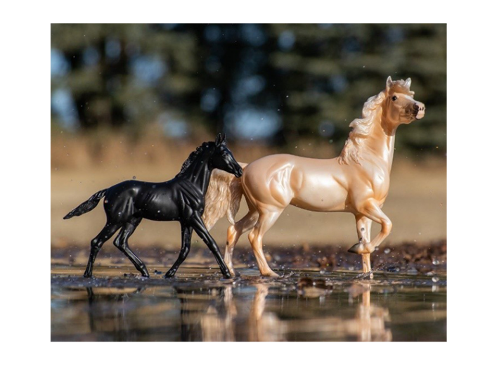 CABALLO Y POTRO ENCORE & TOR