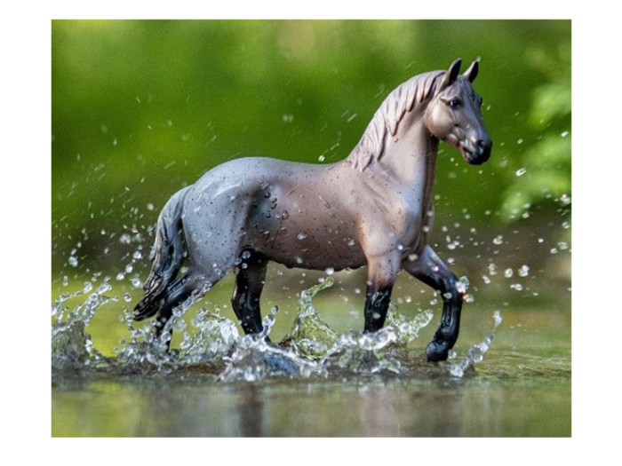 CABALLO BREYER BLUE ROAN BRABANT