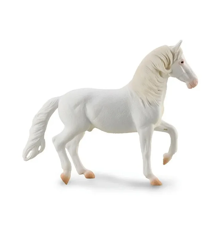 CABALLO BREYER CAMARILLO