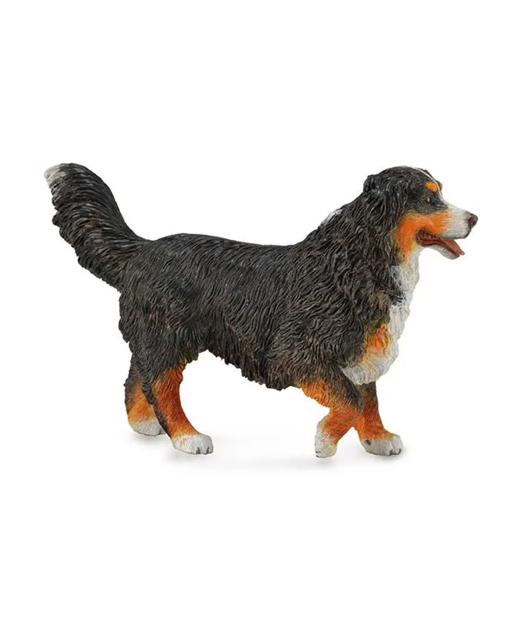 PERRO BREYER BERNESE
