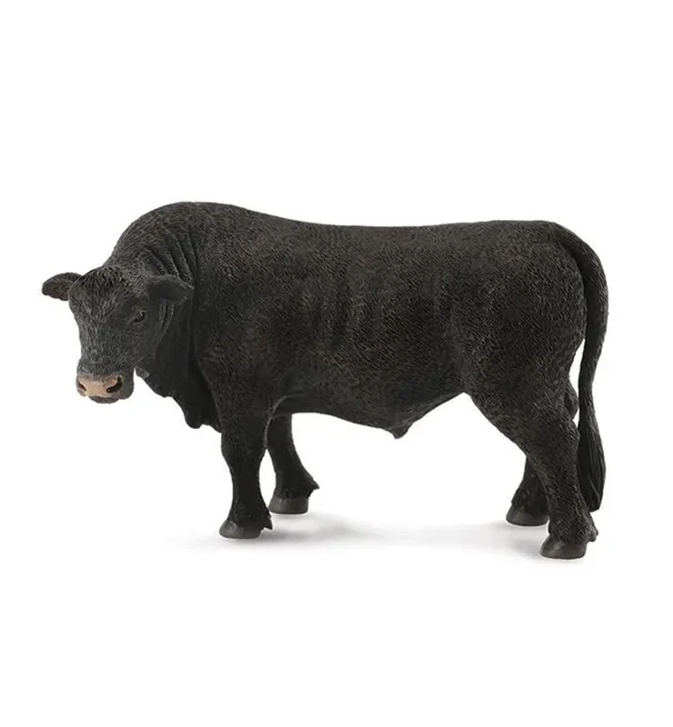 TORO BREYER ANGUS