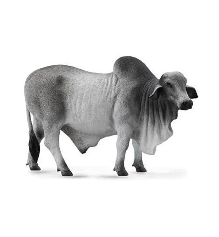 TORO BREYER BRAHMAN